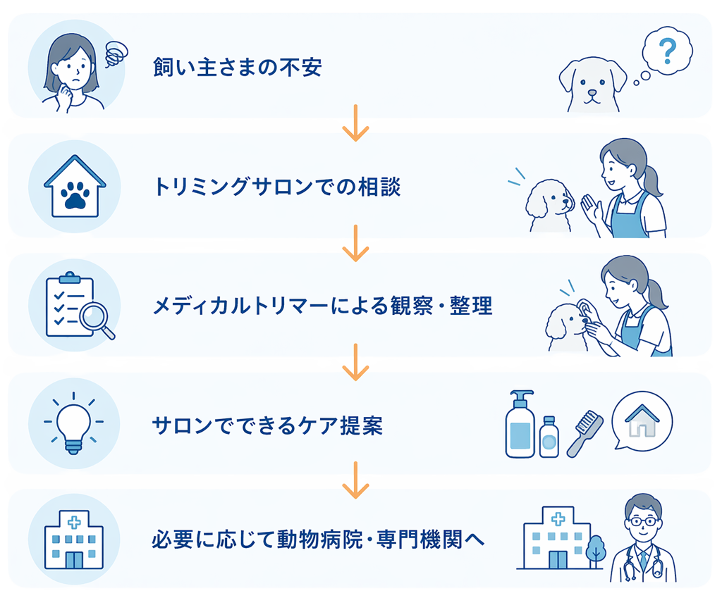 ペットケアの流れと提案を表したイラスト