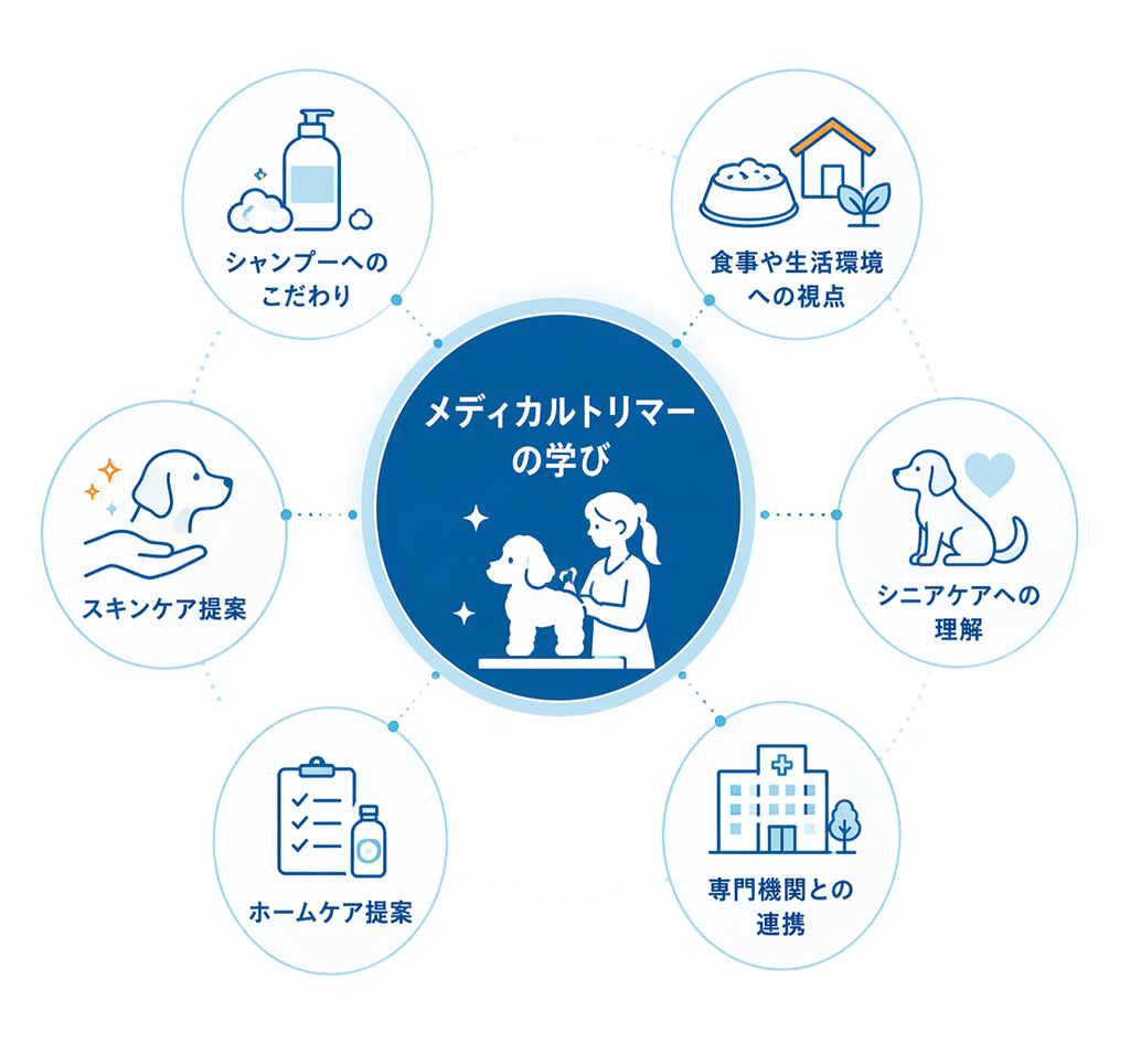 より深い提案力を表したイラスト