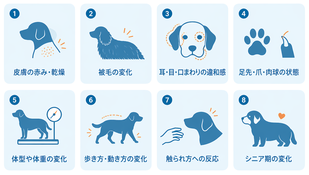 トリミング現場で気付ける小さな変化を表したイラスト